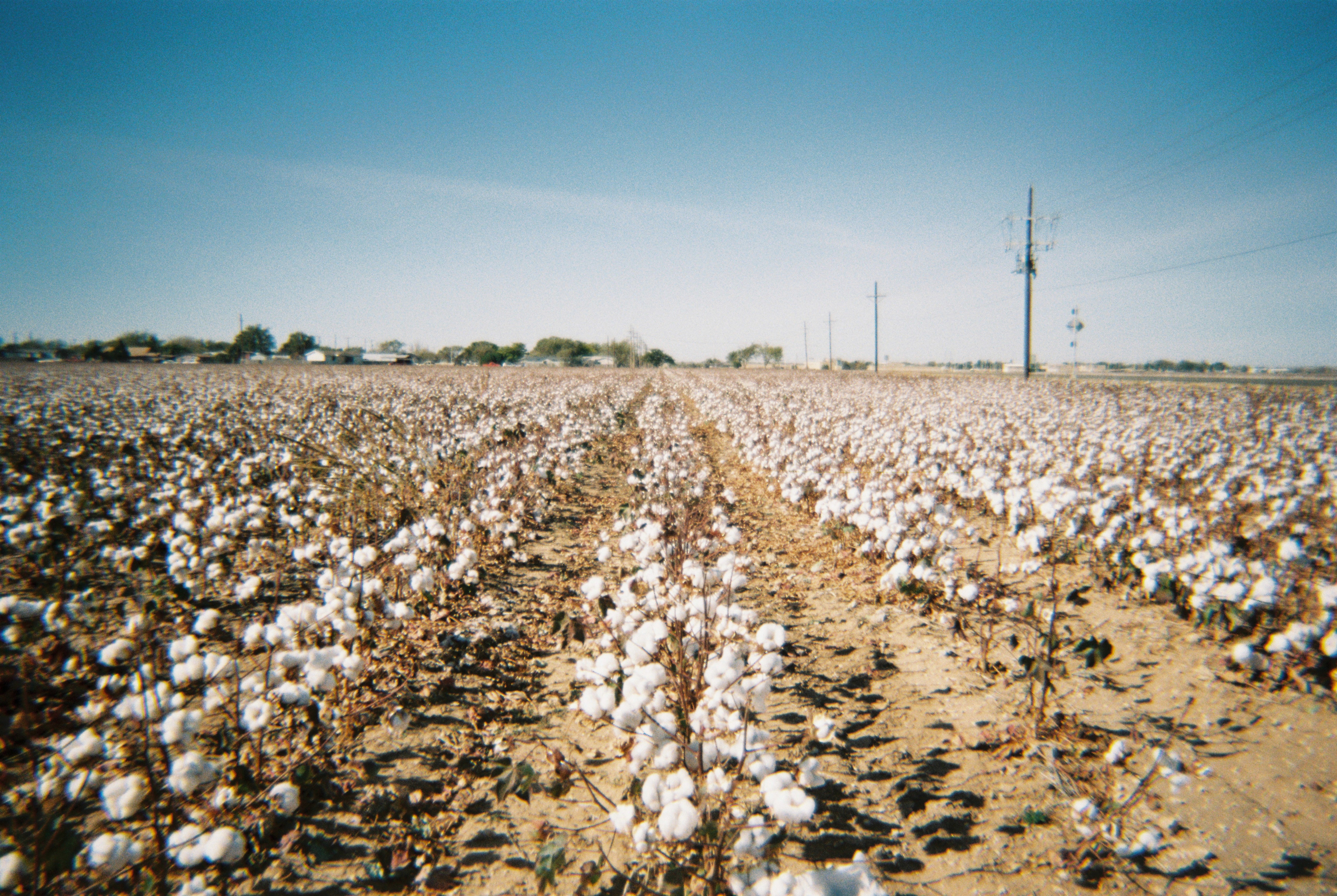 Location: <span>Lubbock</span>